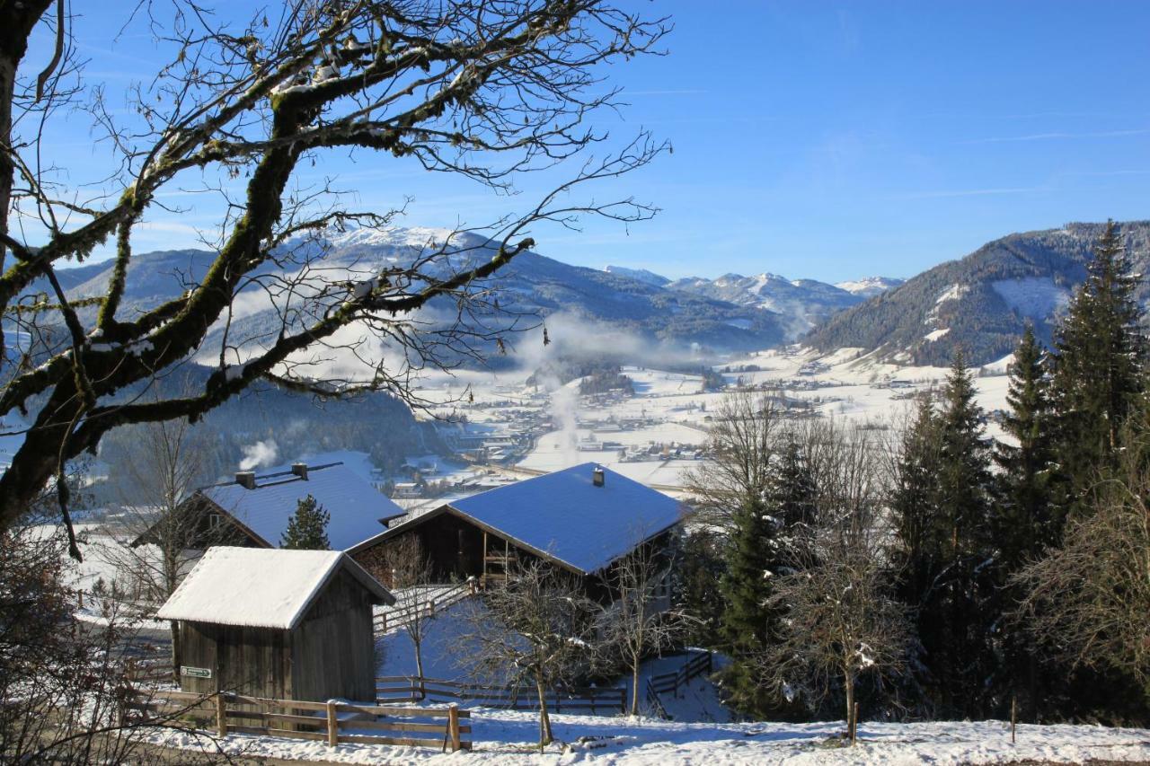Apartment Poetzelberghof อัลเทนมาร์คท์ อิม พองเงา ภายนอก รูปภาพ